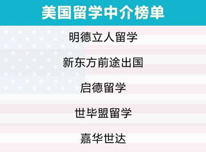2019年自費(fèi)出國(guó)留學(xué)中介服務(wù)市場(chǎng)調(diào)查報(bào)告